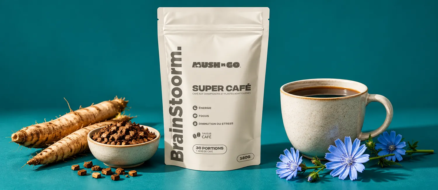 Mush N Go Brainstoorm Coffee tasak pörkölt cikóriadarabok, katánggyökér és kék katángvirágok mellett, sötét itallal teli csészével