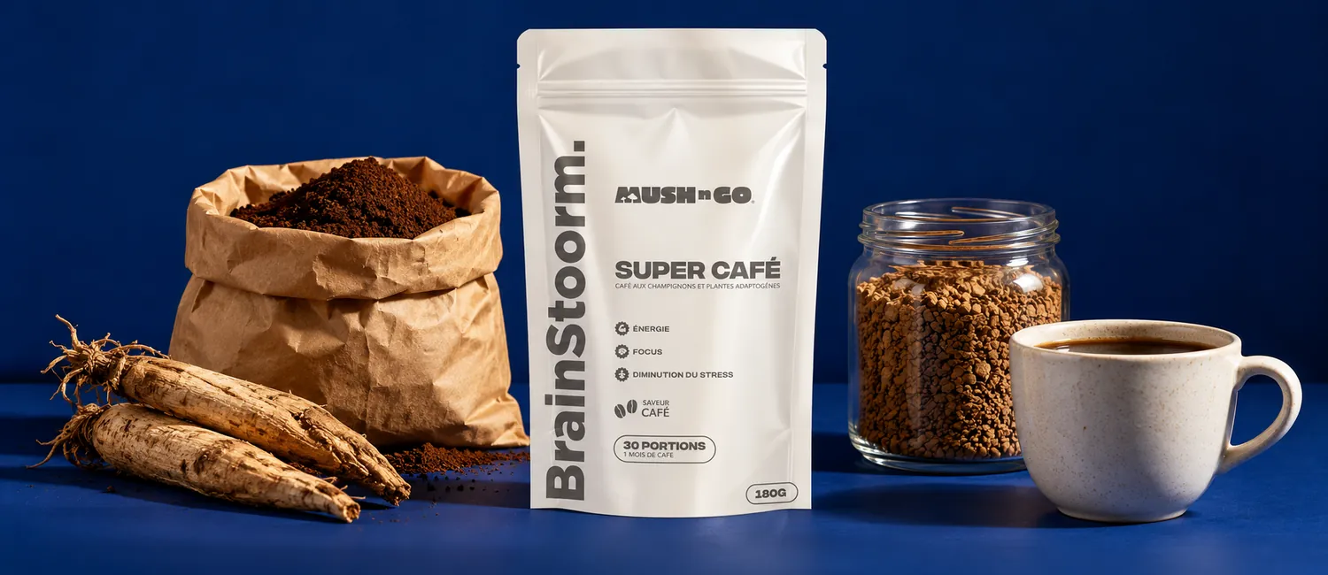 Mush N Go Brainstoorm Coffee tasak felirat nélküli papírzacskók és üvegek között, bennük instant granulátum és őrölt pörkölt cikória