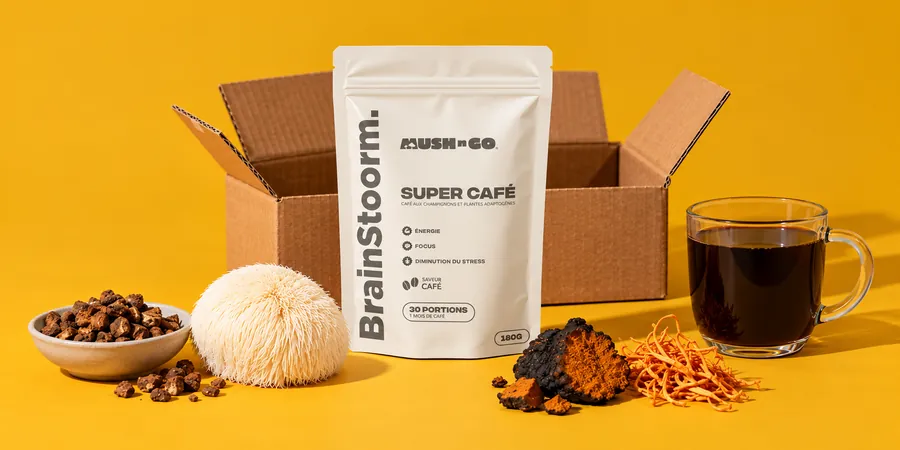 Mush N Go Brainstoorm Coffee tasak egy nyitott, felirat nélküli kartondoboz előtt, pörkölt cikória, fehér süngomba, fekete chaga és narancssárga cordyceps mellett