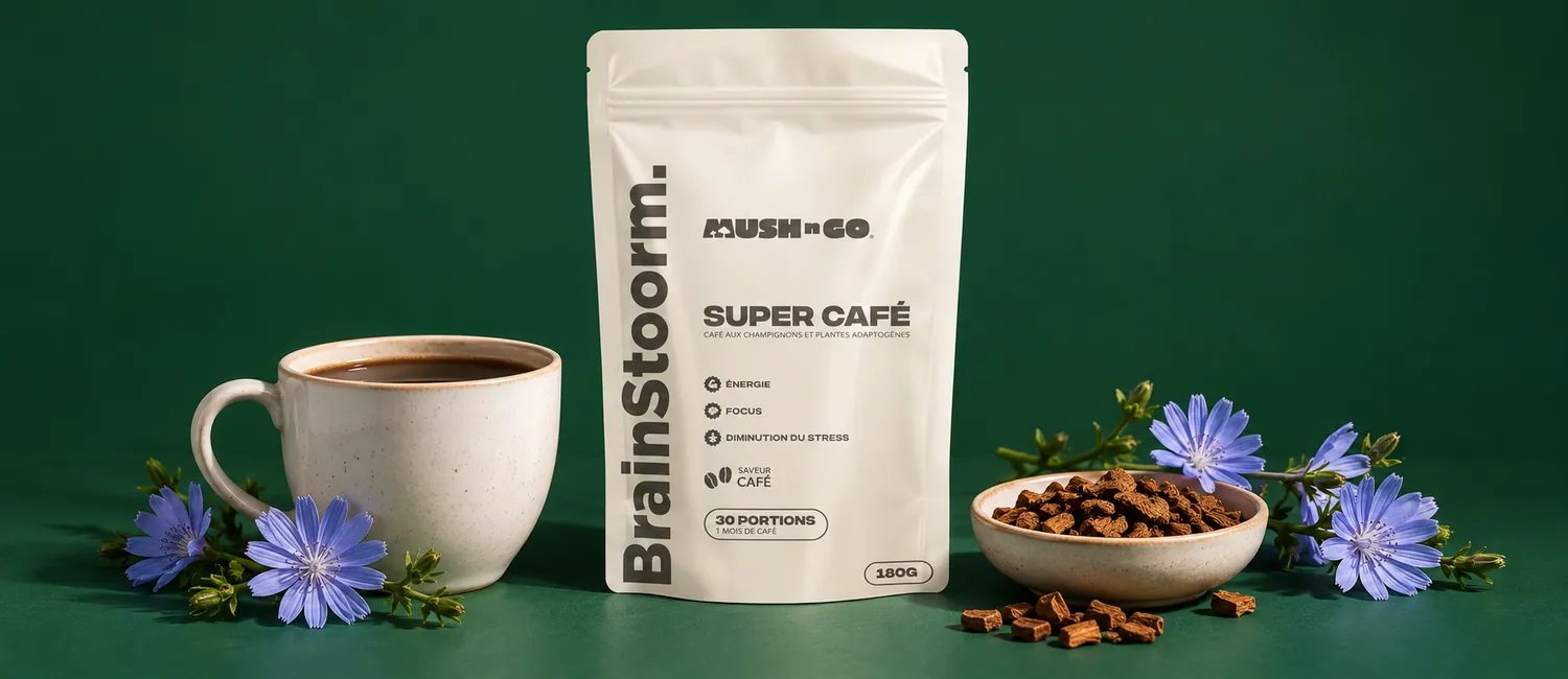 Mush N Go Brainstoorm Coffee tasak egy csésze sötét cikóriaital, pörkölt cikóriadarabok és kék katángvirágok mellett