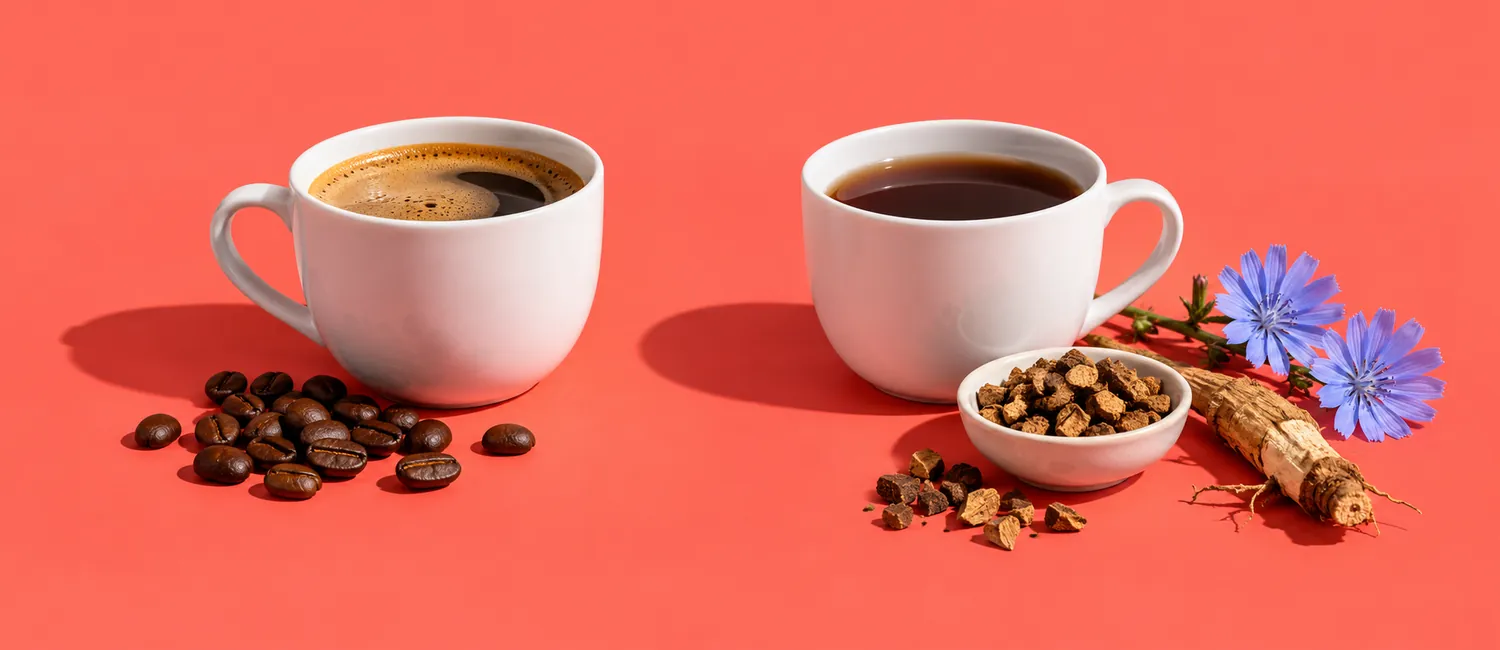 Csésze koffeinmentes kávé néhány pörkölt kávészemmel és csésze sötét cikóriaital pörkölt cikóriadarabokkal, katánggyökérrel és kék katángvirággal, korallszínű háttér előtt