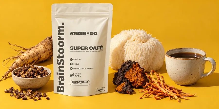 Mush N Go Brainstoorm Coffee tasak pörkölt cikória, fehér süngomba, fekete chaga és narancssárga cordyceps mellett, egy csésze sötét itallal