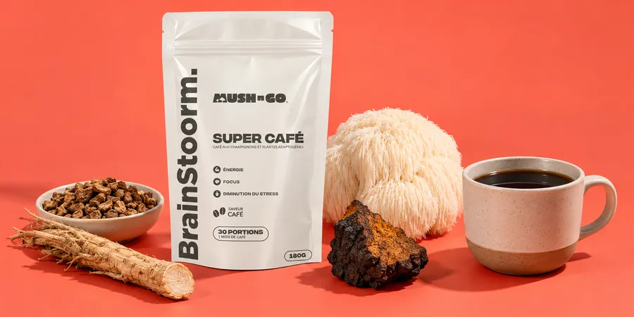 Mush N Go Brainstoorm Coffee tasak pörkölt cikóriadarabok, katánggyökér, fehér süngomba és egy csésze sötét ital mellett